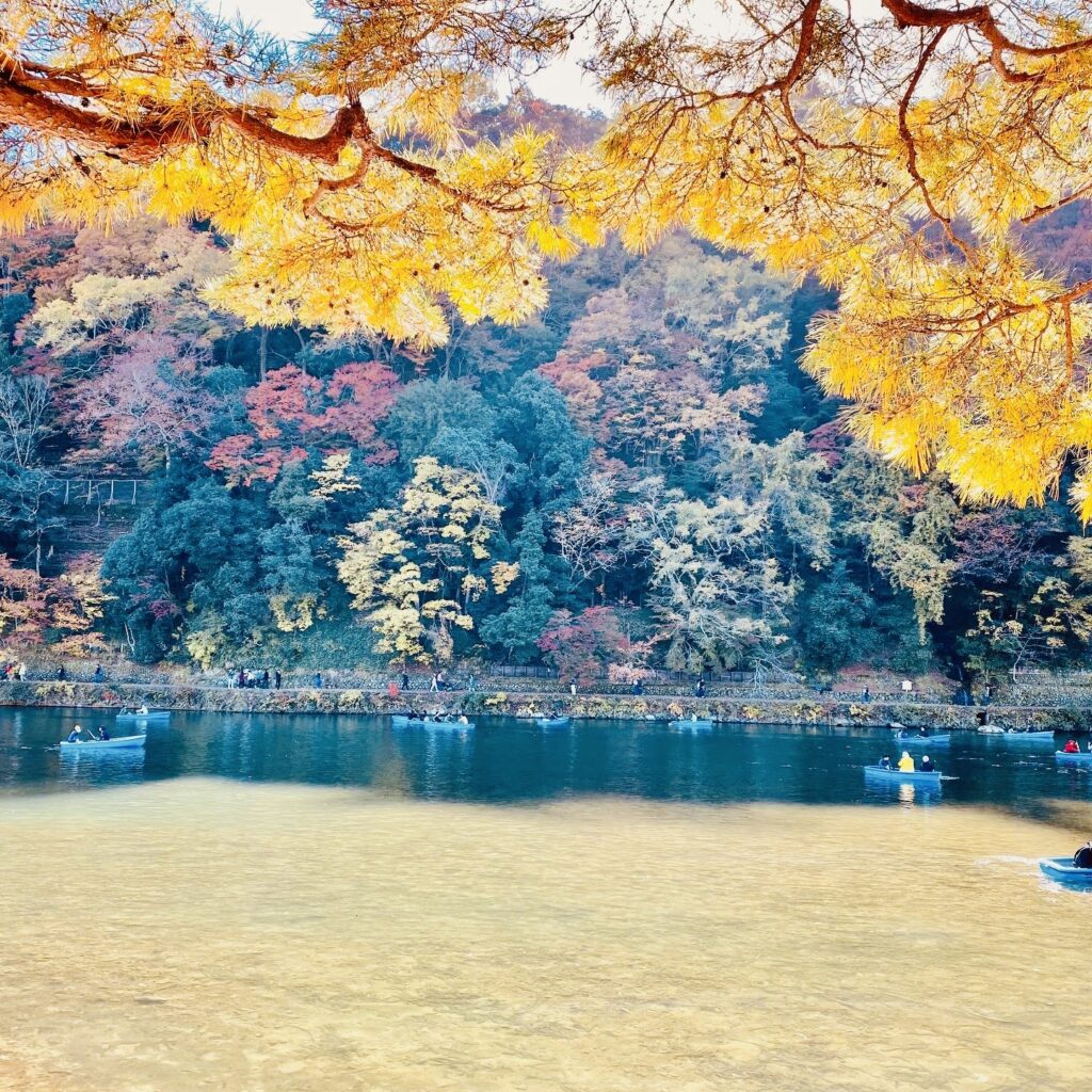 Boating during the fall season in Arashiyama, Kyoto, Japan