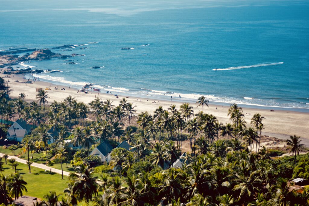 A bird's eye view of a pristine beach in Goa surrounded by coconut trees.