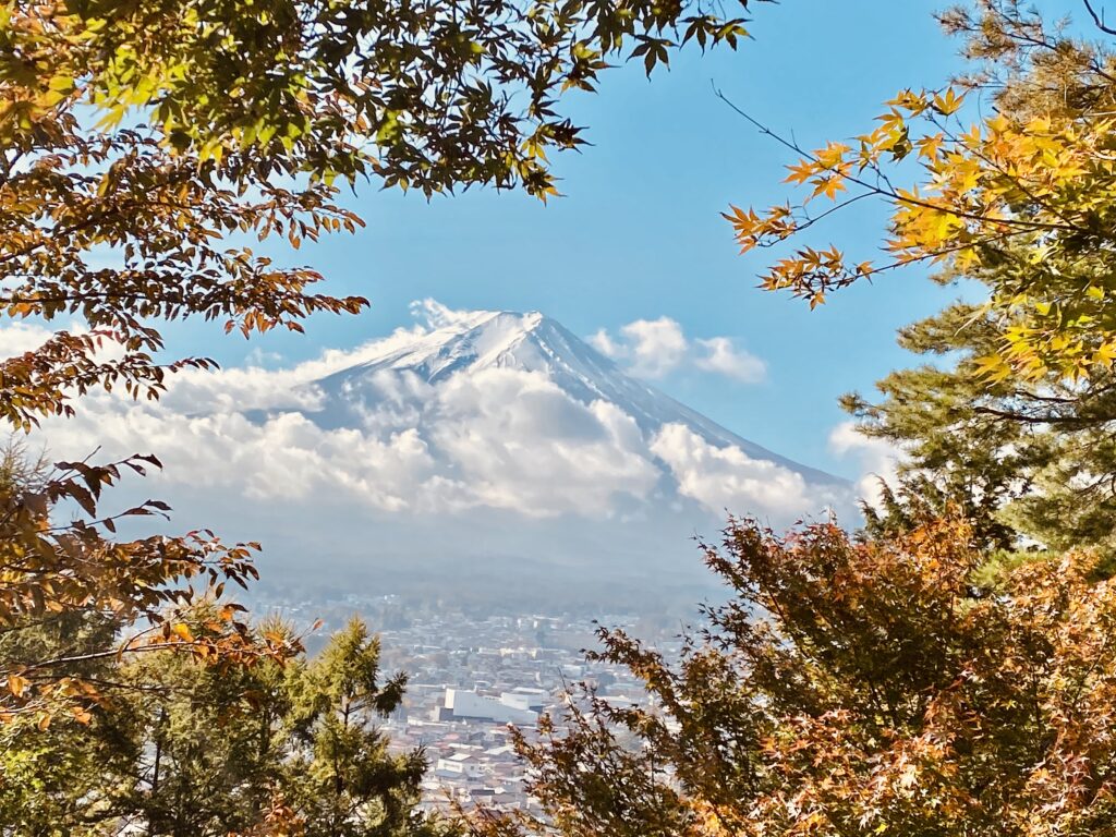 Mount Fuji surrounded by trees in Autumn colours